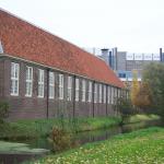 Dutch houses from the back