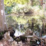 Lagoon in Florida