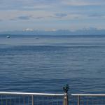 Olympic range across Puget Sound