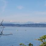 Olympic range from Discovery Park