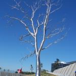 Cool metal tree