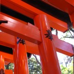 The gates of Inari