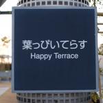 Funny translation