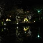 Nighttime reflection