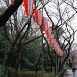 Lanterns in Tokyo