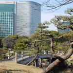 Bridge and skyscrapers, Hama-rikyu
