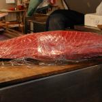 Thawed tuna