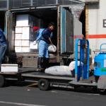 Unloading frozen tunas