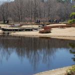 Imperial Gardens, Tokyo