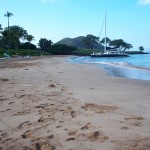 A catamaran comes ashore