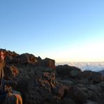 Katie watches the sunrise