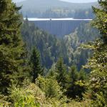 Alder dam on the Nisqually River