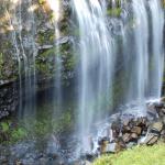 Bottom of Narada Falls at Mt. Rainier