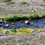 Small stream