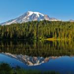 Rainier reflected