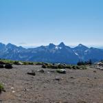 Panoramic view from Mt. Rainier