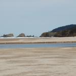 Cannon Beach