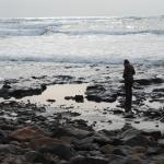 Checking out the tide pools