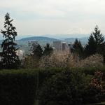 Portland and Mount Hood from Washington Park
