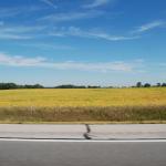 View from the highway, somewhere in Ohio