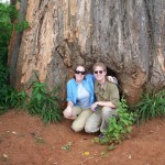 Katie and Jason coming out of a big baobab tree
