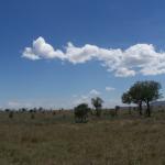 Serengeti panorama