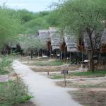 The tents at Tarangire Lodge