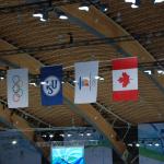 The Olympic flags