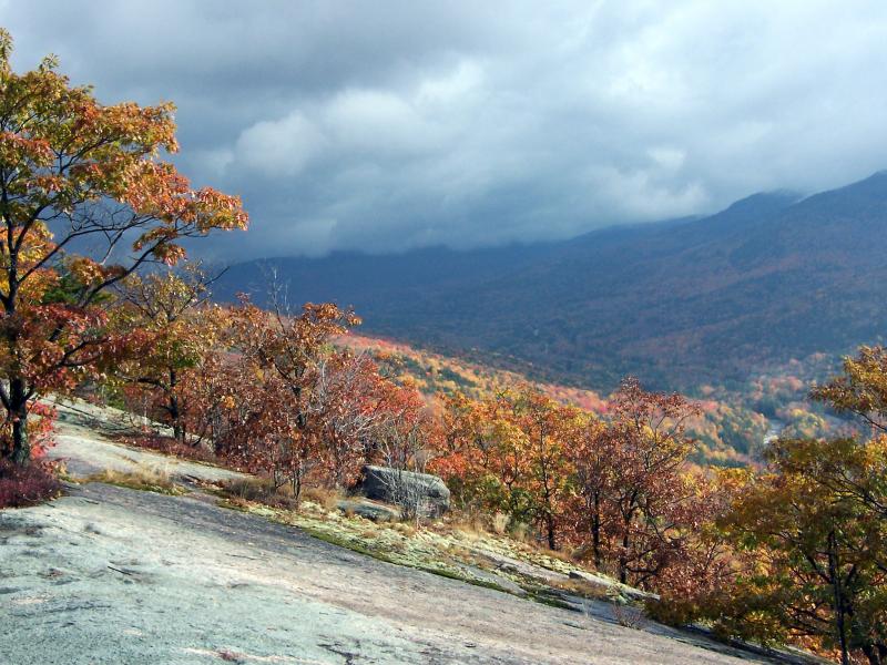 Fall foliage in the White Mountains