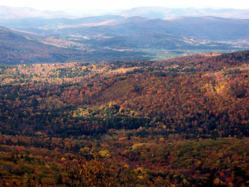 Colorful valley