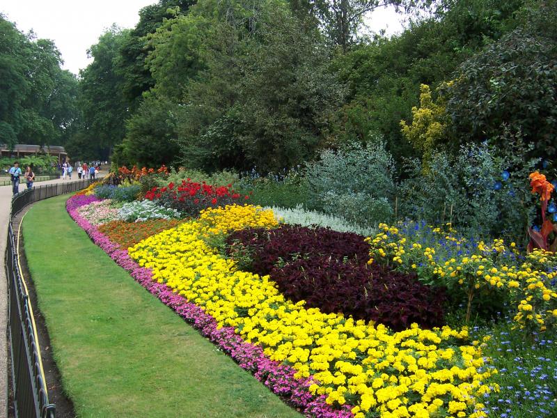 Flowers in St. James Park - 2