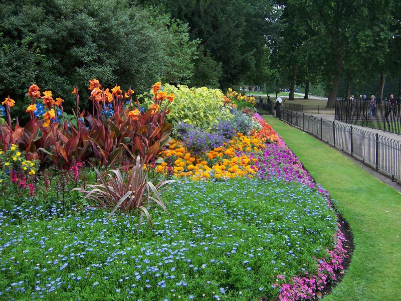 Flowers in St. James Park - 5