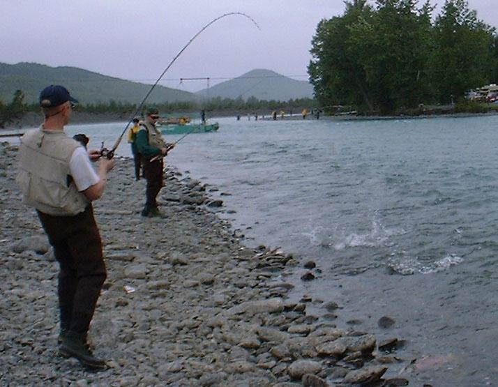 Chris catching a Silver