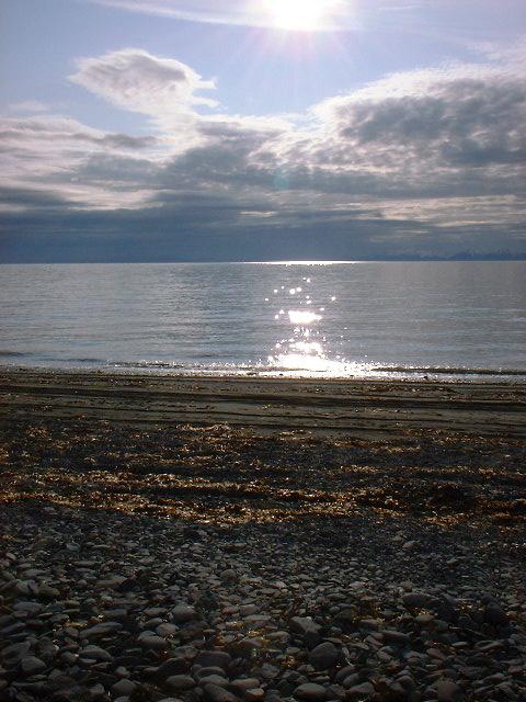 The sun reflected on the water
