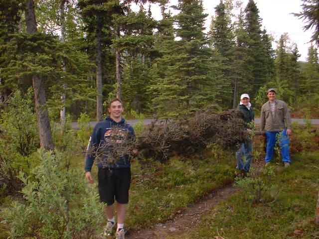 The Harper brothers find some firewood