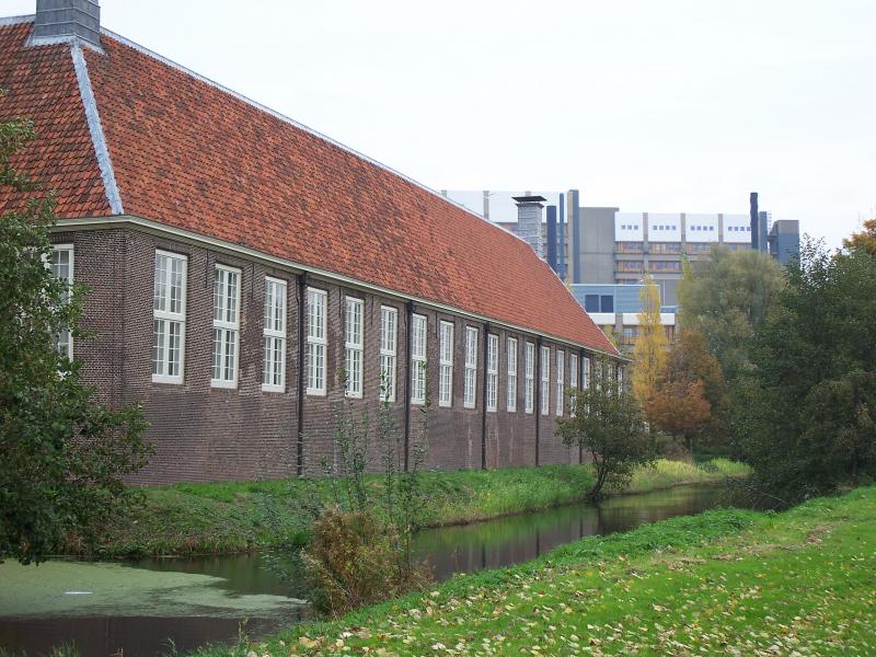 Dutch houses from the back