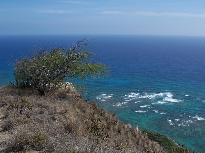 Oceanview from Diamond Head