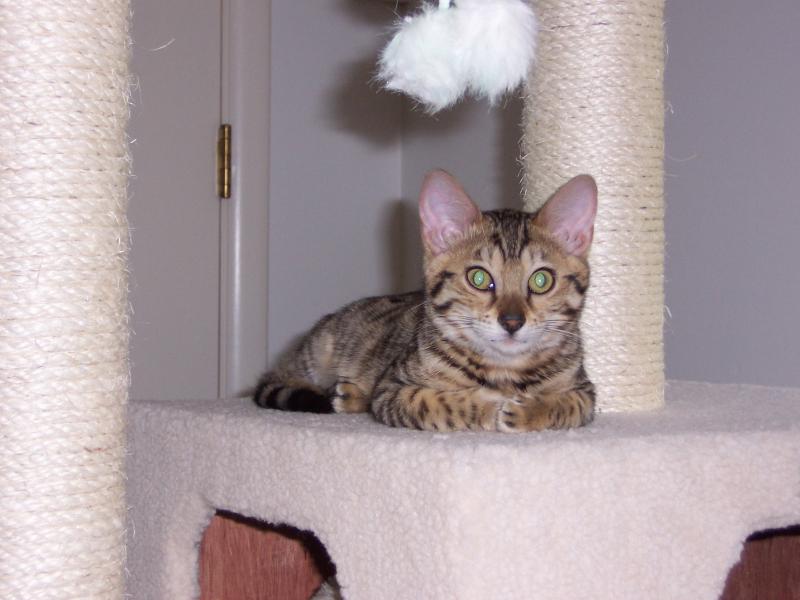 Keiko