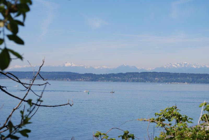 Olympic range from Discovery Park