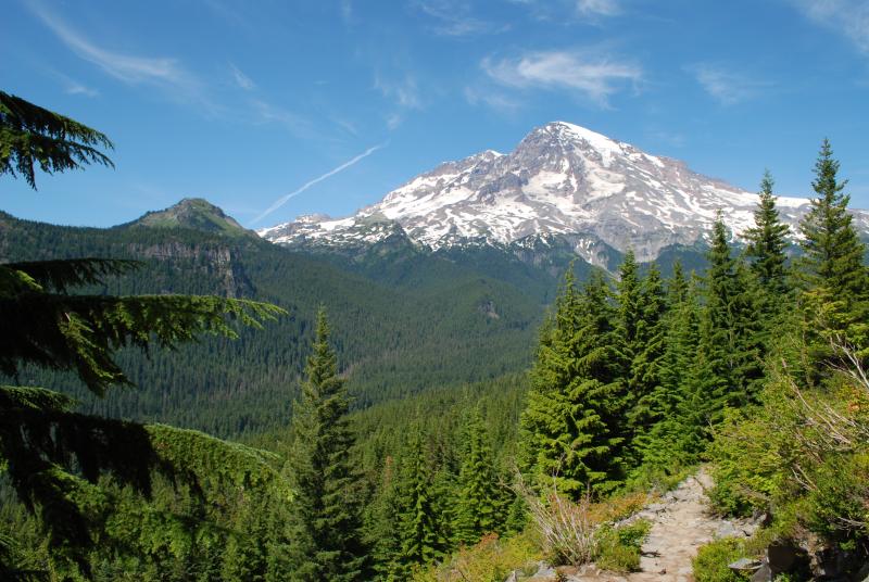 Mt. Rainier Vista