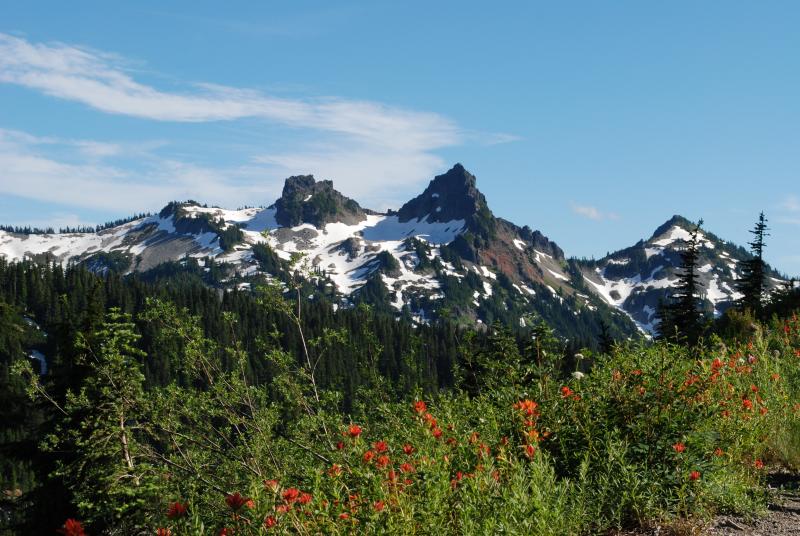 Flowers and peaks