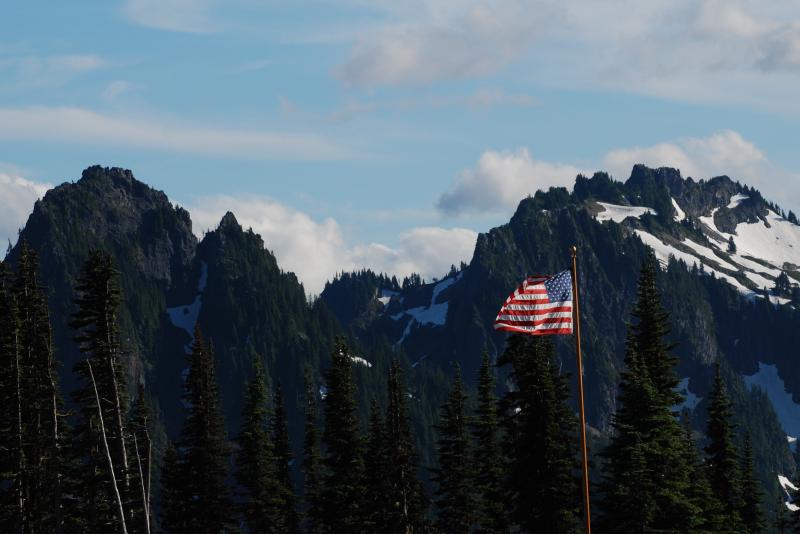 A patriotic picture