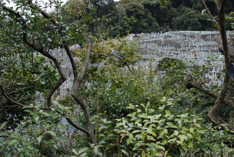 A graveyard built into the hillside