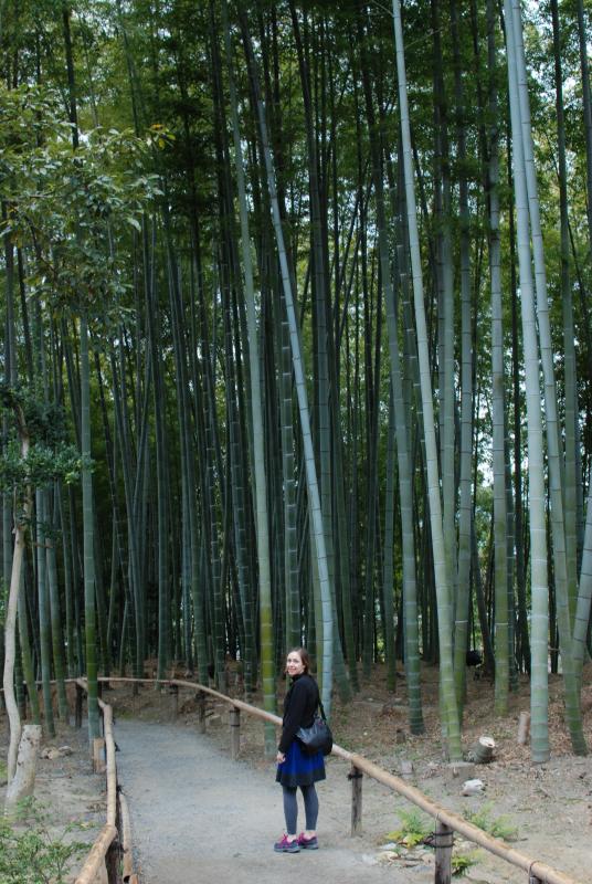 Katie and the bamboo grove