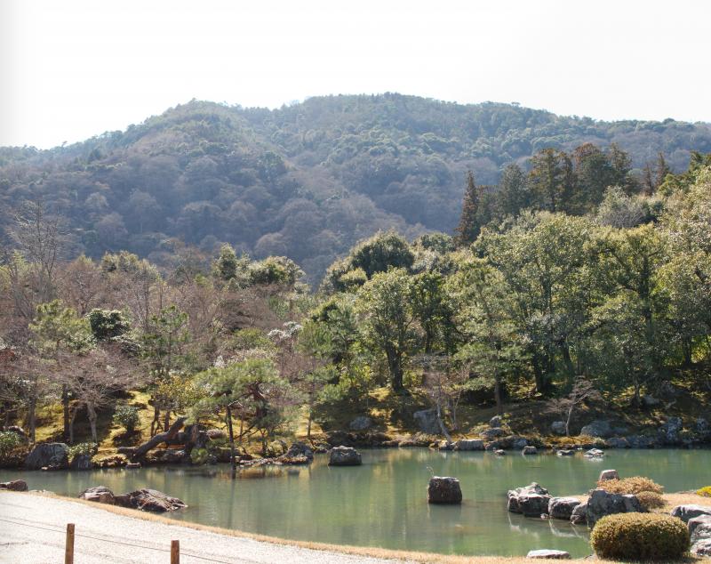 Garden at Tenryu-ji Temple