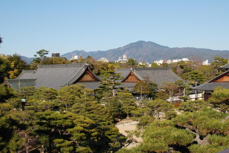 Overview of Nijo Castle grounds