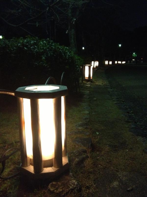 Lantern-lit path