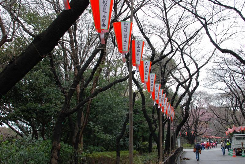 Lanterns in Tokyo