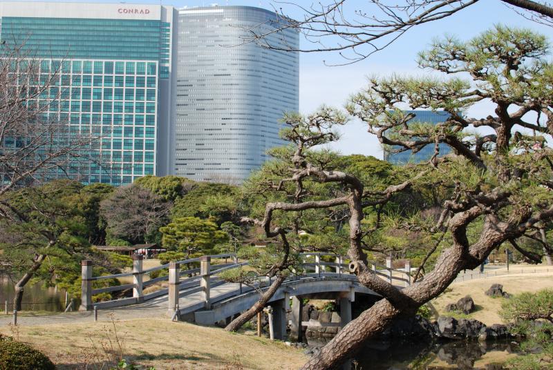 Bridge and skyscrapers, Hama-rikyu