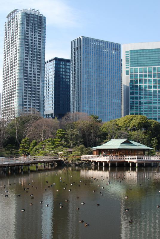 A view from Hama-rikyu gardens